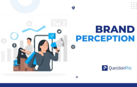 Brand Perception: 