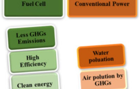 Environmental Impact Of Fuel Choices: